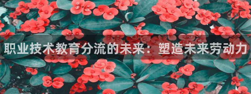 九游会老哥俱乐部|职业技术教育分流的未来：塑造未来劳动力