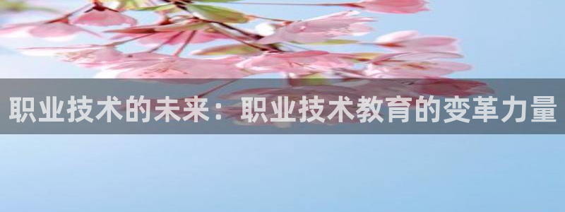 AG九游会j9官方网站|职业技术的未来：职业技术教育的变革力量